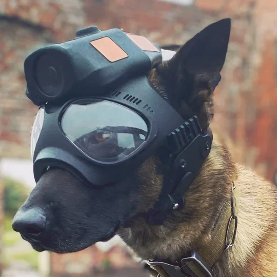 Low-cost Tactical Dog Camera