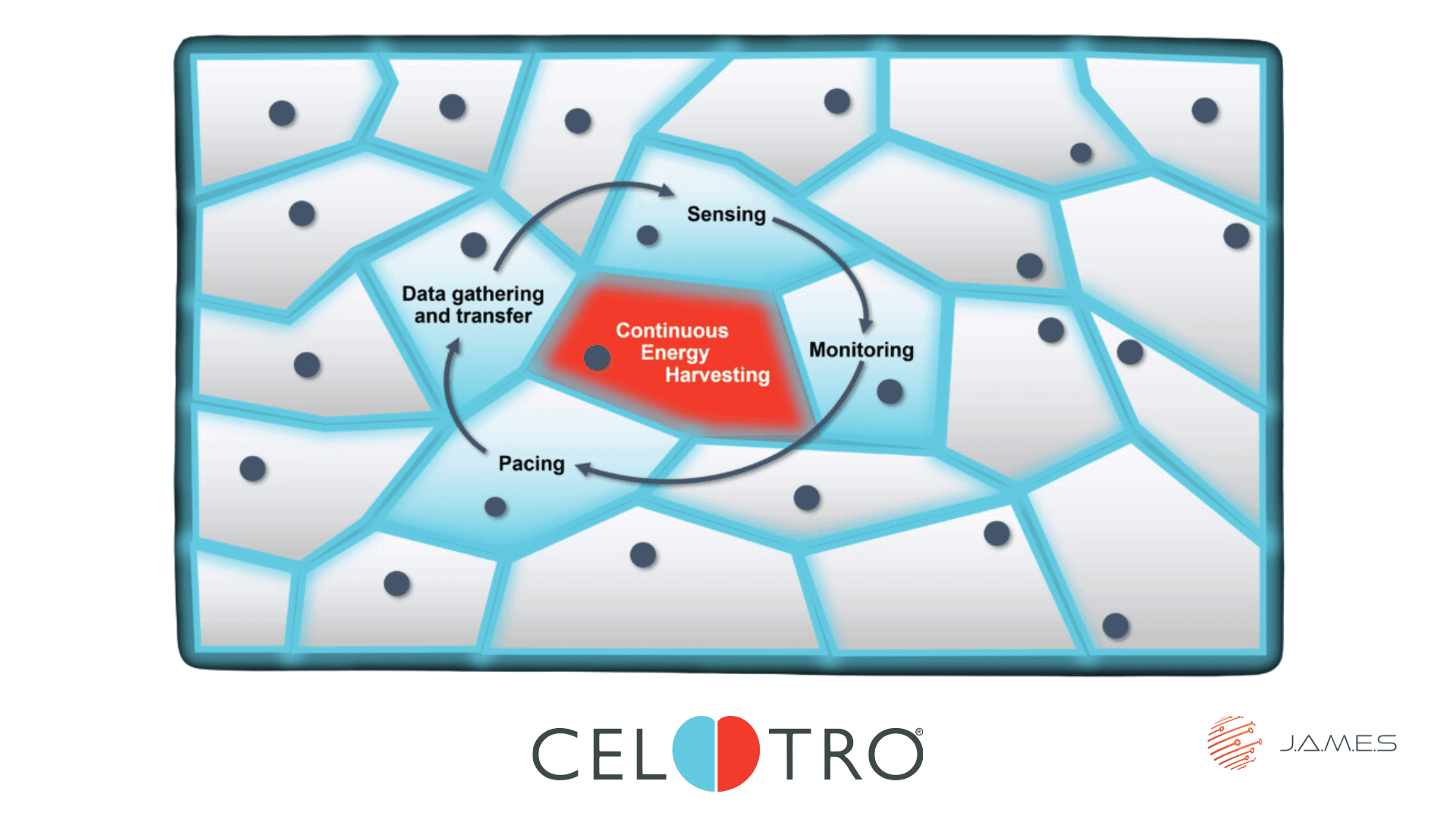 Celtro To Introduce Latest Innovations At Electronica 2024