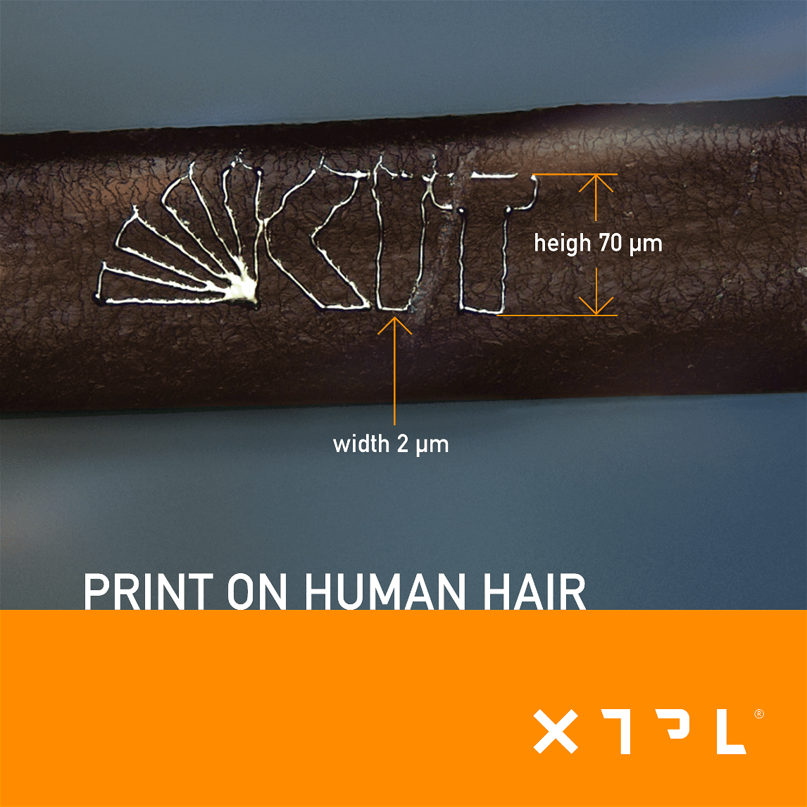 Ease Of Use Meets Advanced Technology: The XTPL Delta Printing System!