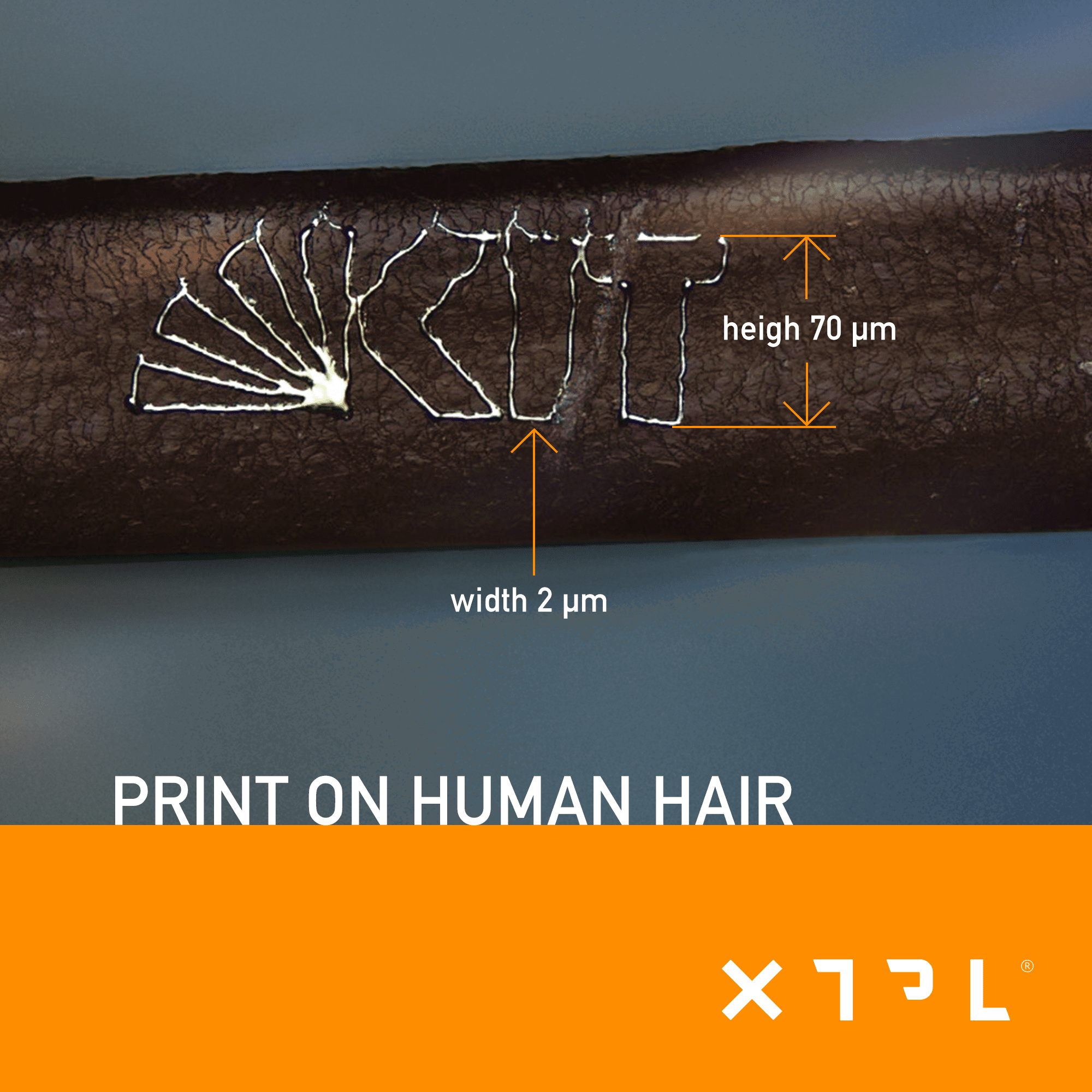 Ease Of Use Meets Advanced Technology: The XTPL Delta Printing System!